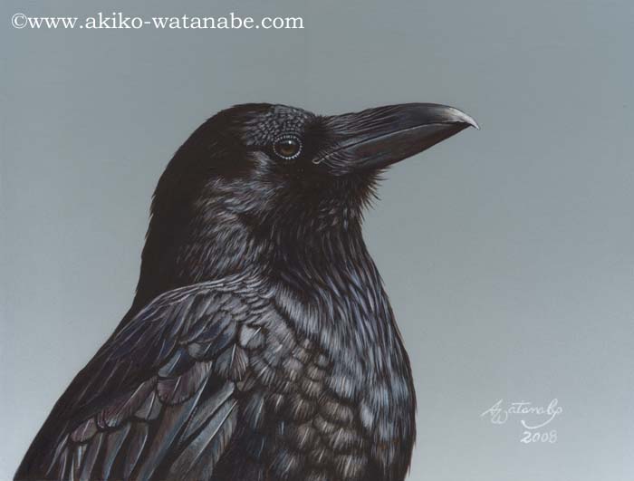Prints - Crows & Ravens